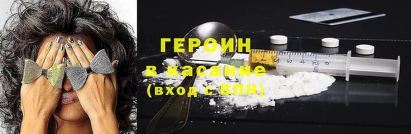 прущие грибы Верхний Тагил